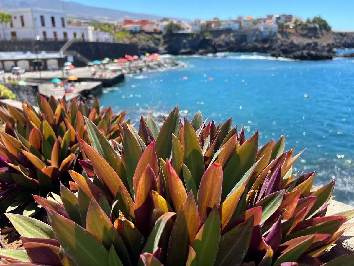 Homestay Alcamar Habitacion Privada Con Bano Compartido Cerca Al Mar! Alcala  Spain